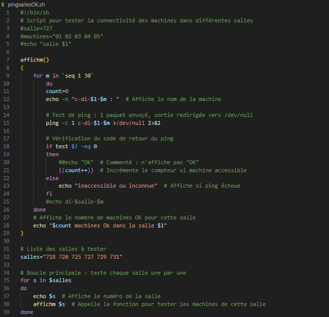 Script shell pingsalles.sh pour diagnostic réseau